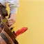 Handyman repair service in Springfield, MO for home fixes and improvements