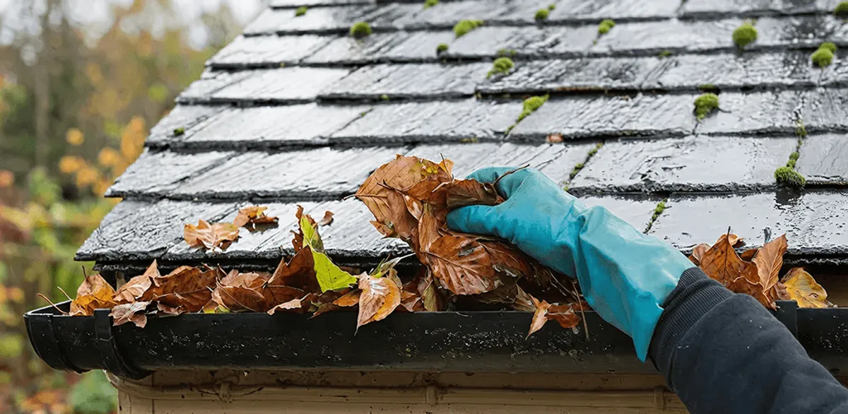 Gutter cleaning technician clearing wet leaves from roof gutters in Springfield, MO